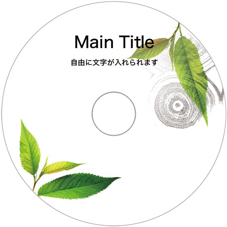 DVDコピー/CDコピー/ブルーレイコピーサービス point-02