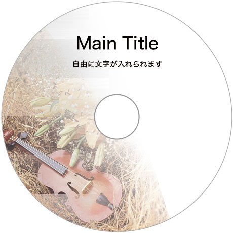 DVDコピー/CDコピー/ブルーレイコピーサービス point-08